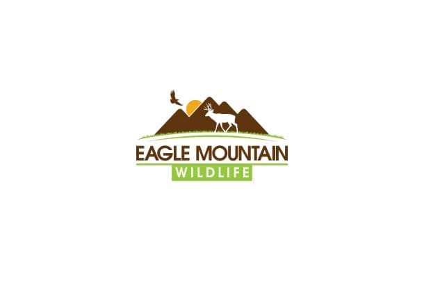 Eagle Mountain Wildlife